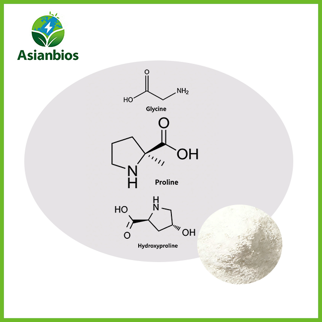 Compound Amino Acids